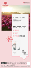 轻轻说早安