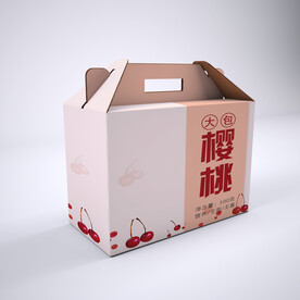 中国风礼包礼盒样机效果图