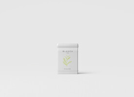 高档茶叶包装盒样机贴图