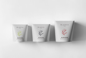 高档茶叶包装盒样机贴图