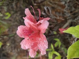 航拍摄影