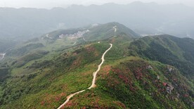 玉华山