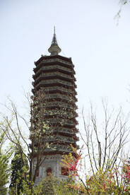 燃灯塔