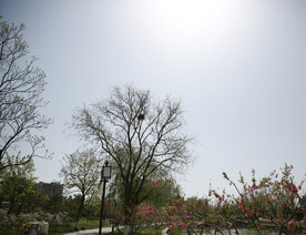 公园