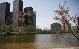 城市春天