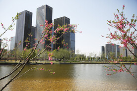 城市高楼