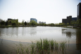 城市公园
