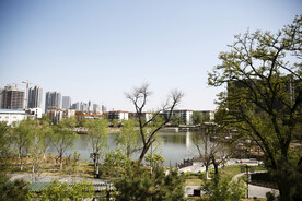 城市公园