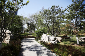 城市公园