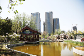 城市公园