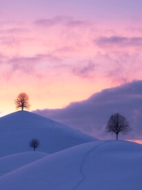冬天雪景