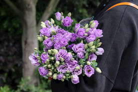 鲜切花香芋紫桔梗