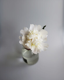 鲜花