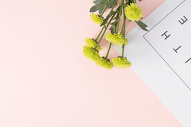 文艺简约平面素材 