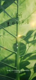 节气日海报