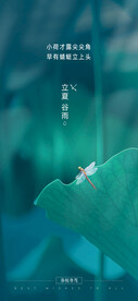 立夏