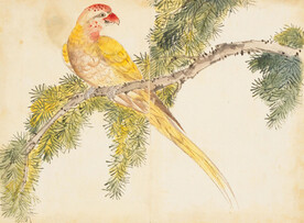 余曾三国画 百花鸟图
