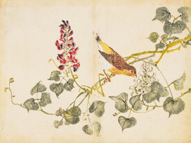 余曾三国画 百花鸟图