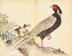 余曾三国画 百花鸟图