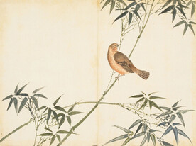 余曾三国画 百花鸟图