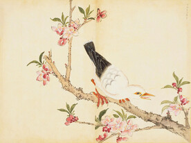 余曾三国画 百花鸟图