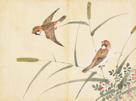 余曾三国画 百花鸟图
