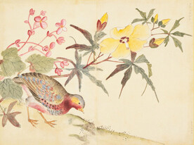 余曾三国画 百花鸟图