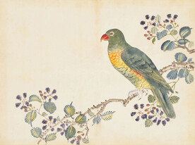 余曾三国画 百花鸟图