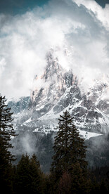山