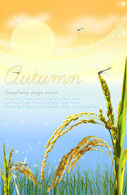 卡通手绘稻田稻谷元素