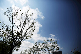 天空