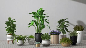  3DMAX北欧绿植花卉盆栽