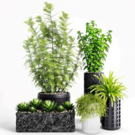  3DMAX多肉绿植盆栽组合