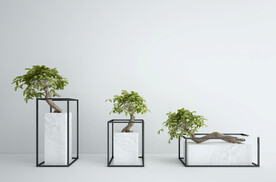  3DMAX中式绿植摆件