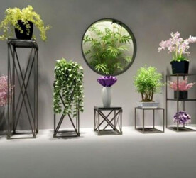  3DMAX绿植花卉盆栽花架