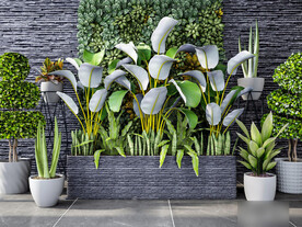  3DMAX现代绿植盆栽