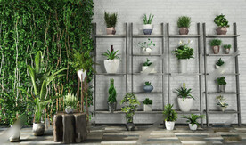  3DMAX现代绿植盆栽