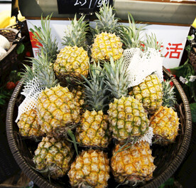 菠萝