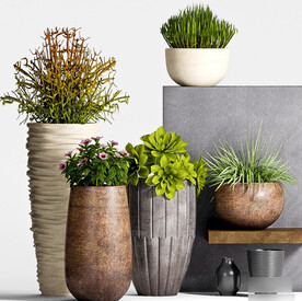  3DMAX石材绿植花卉盆栽