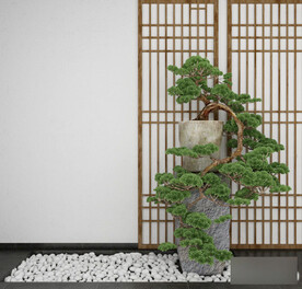  3DMAX中式盆栽松树盆景