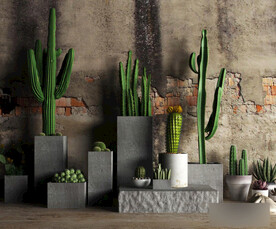  3DMAX温热带植物盆栽