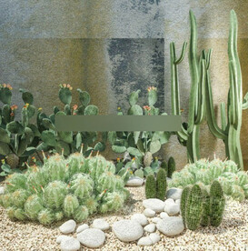  3DMAX庭院沙漠植物