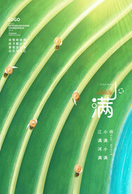 小满节气极简大气宣传海报