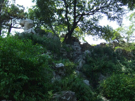 假山 