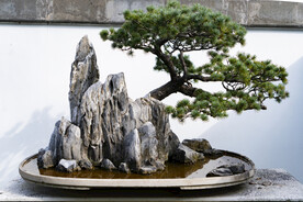 假山 