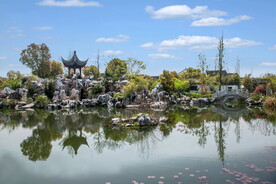 假山 