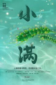 简洁清新水纹小满节日海报