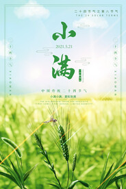 小满节气海报
