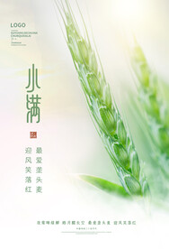 小满节气意境中国风宣传海报