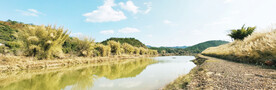 马塘河鱼潭江